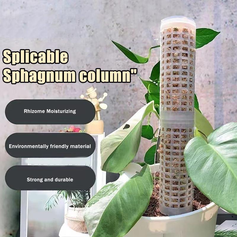 Sphagnum Moss Dry - 6 szt. Plastikowe paliki do roślin,
