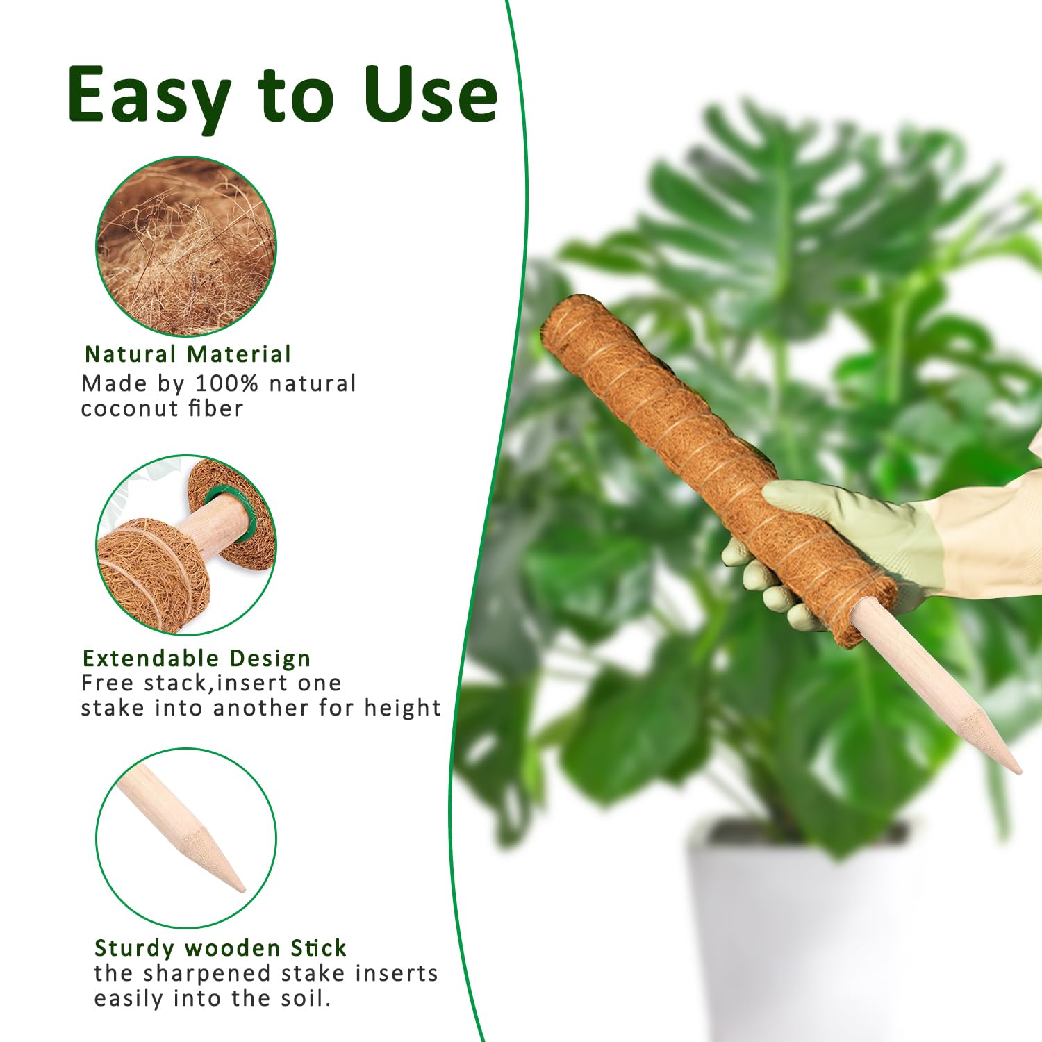 Stojak z mechem 38/43/53 cm, p – Sphagnum Moss Dry recenzja i cena