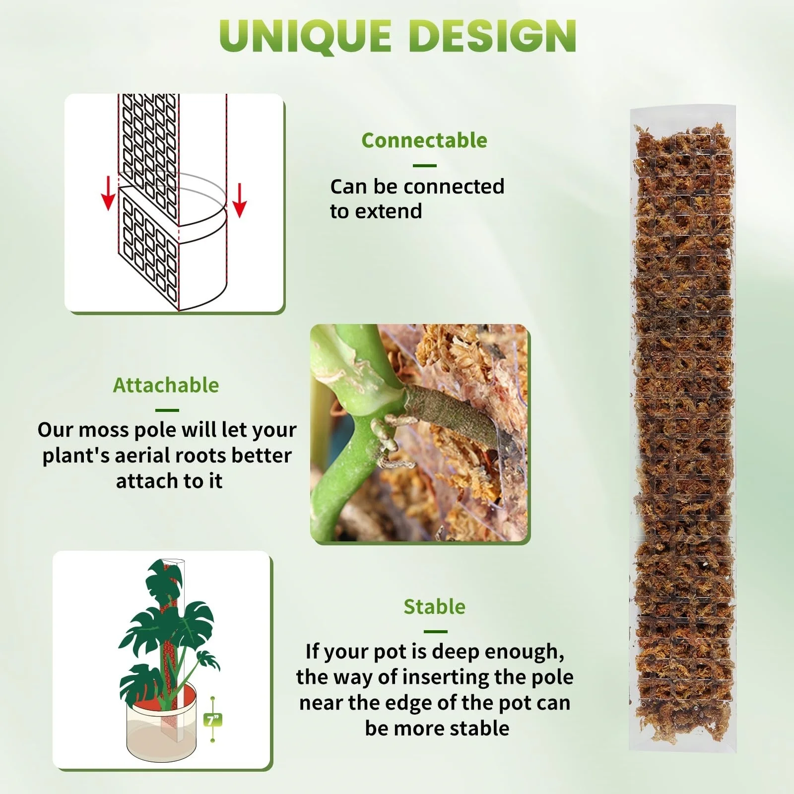Plastikowa tyczka do pnączy o  – Sphagnum Moss Dry recenzja i cena