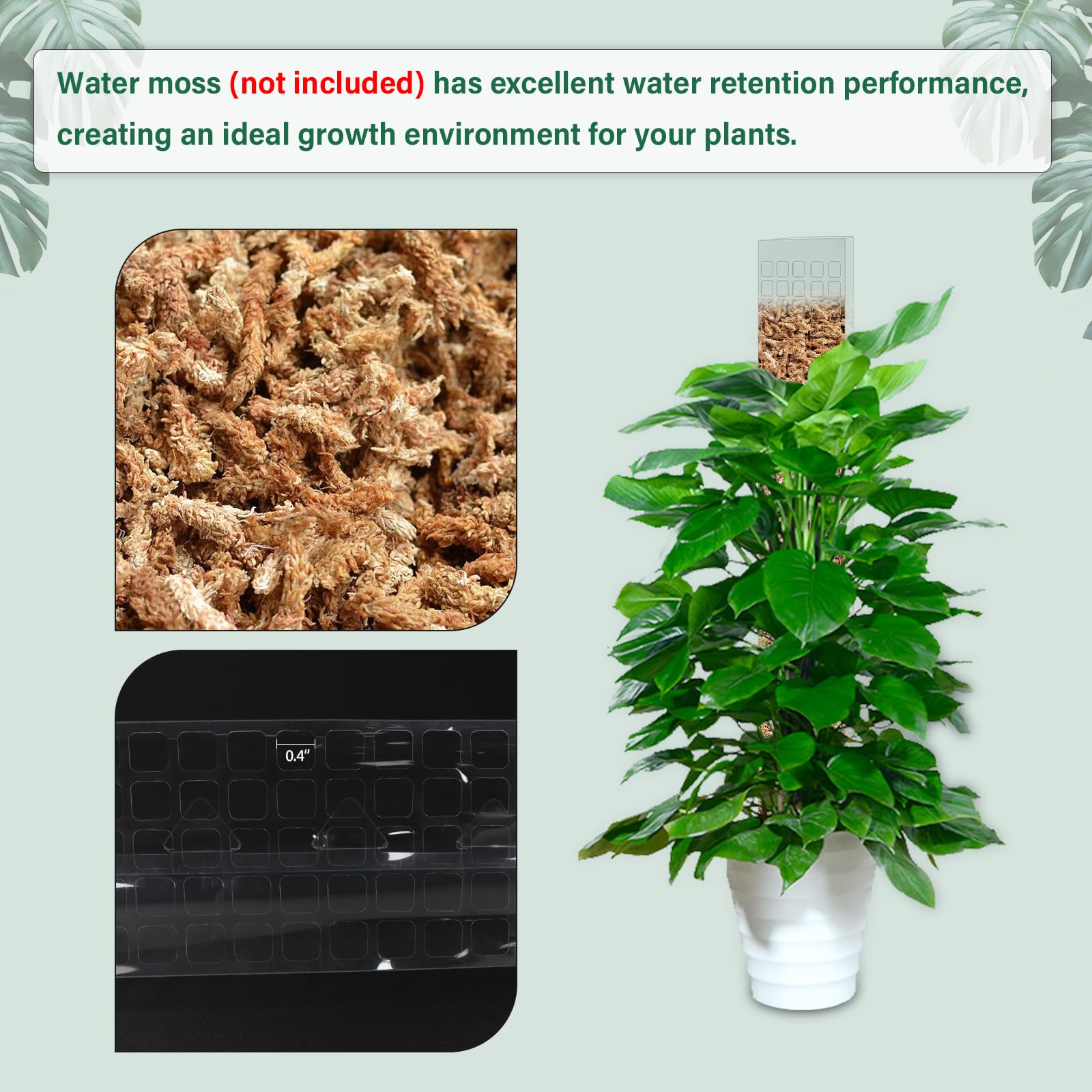 Plastikowy stojak na rośliny p – Sphagnum Moss Dry recenzja i cena