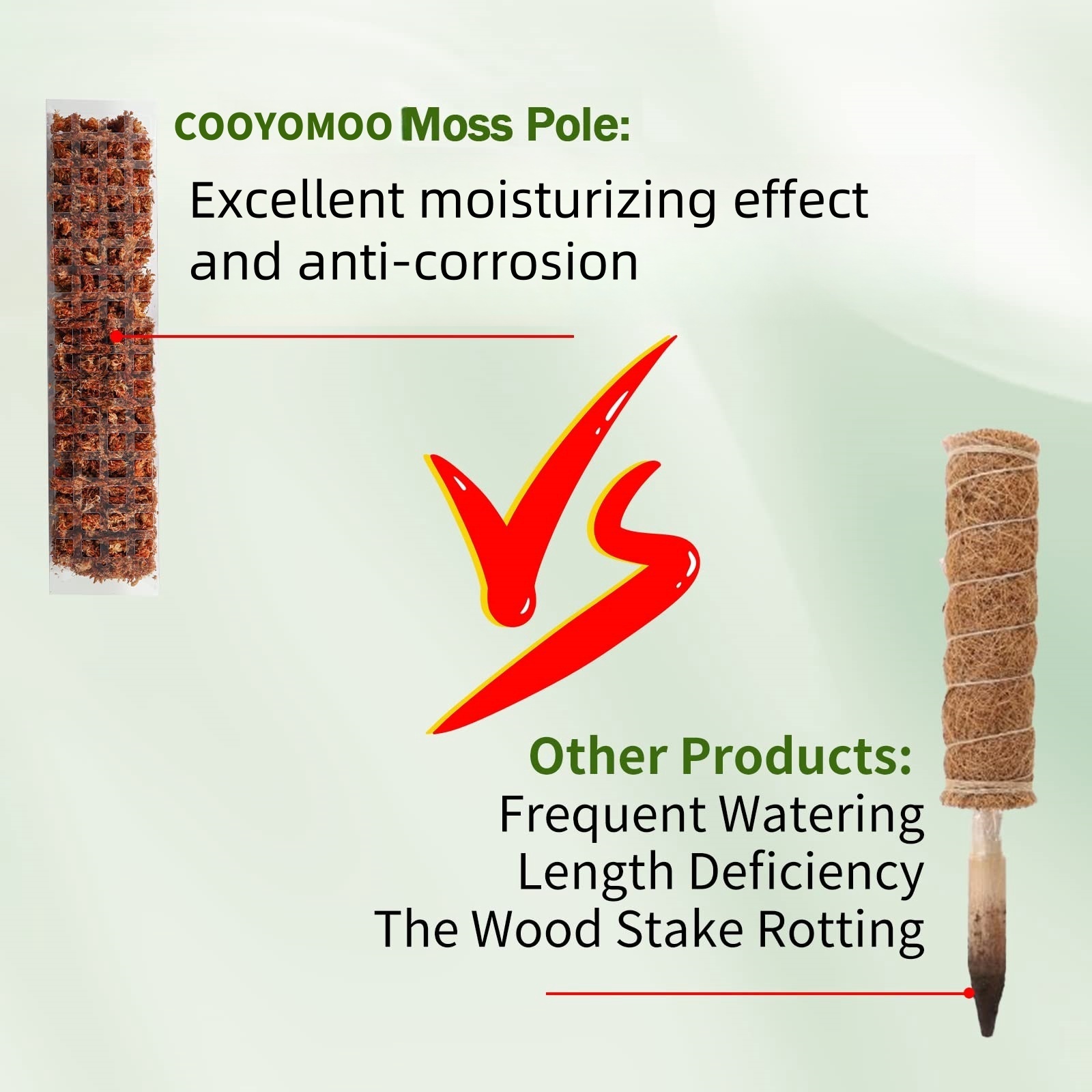 Plastikowy słupek z mchu, 24 c – Sphagnum Moss Dry recenzja i cena